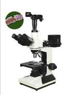 供应XSP-11C系列生物显微镜图片