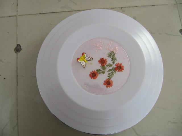 供應(yīng)湖南LED吸頂燈廠家批發(fā)湖南吸頂燈廠家