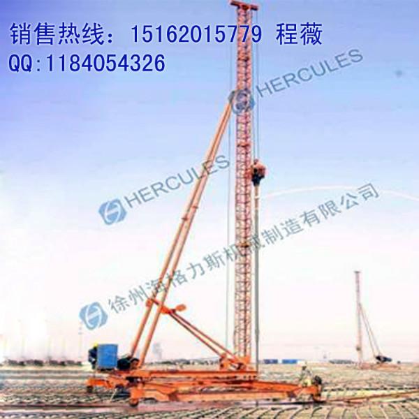 供應(yīng)ZTG系列鋼軌式插板機(jī)/塑料插板機(jī)/排水板插板機(jī)