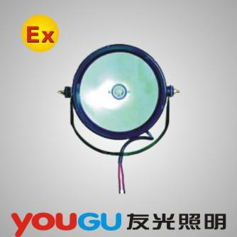 DGY100-24防爆泛光燈圖片