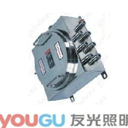 友光BQJ-1不銹鋼防爆配電箱圖片
