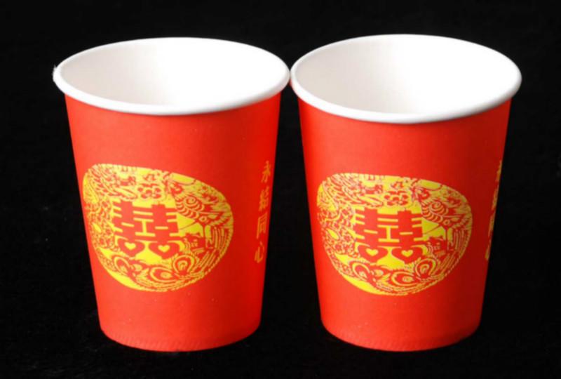 供應(yīng)濟(jì)南印刷濟(jì)南文翔印務(wù)彩色紙杯制作