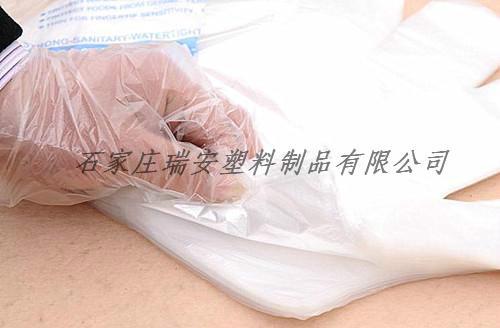 供應(yīng)太原一次性使用PE手套價(jià)格