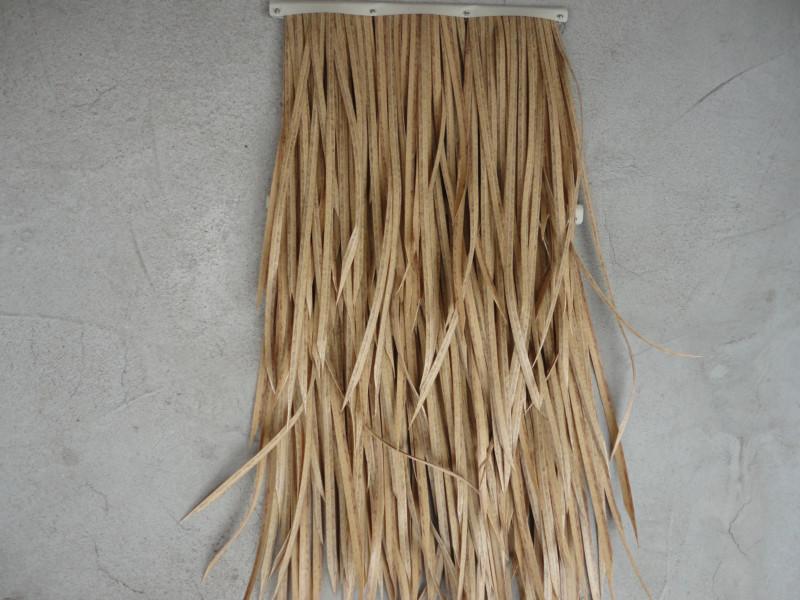 棕櫚葉茅草圖片/棕櫚葉茅草樣板圖 (3)