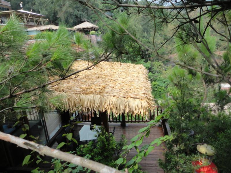 供應(yīng)哈爾濱茅草材料