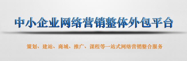 十一年历程西乡专业建站优化推广图片