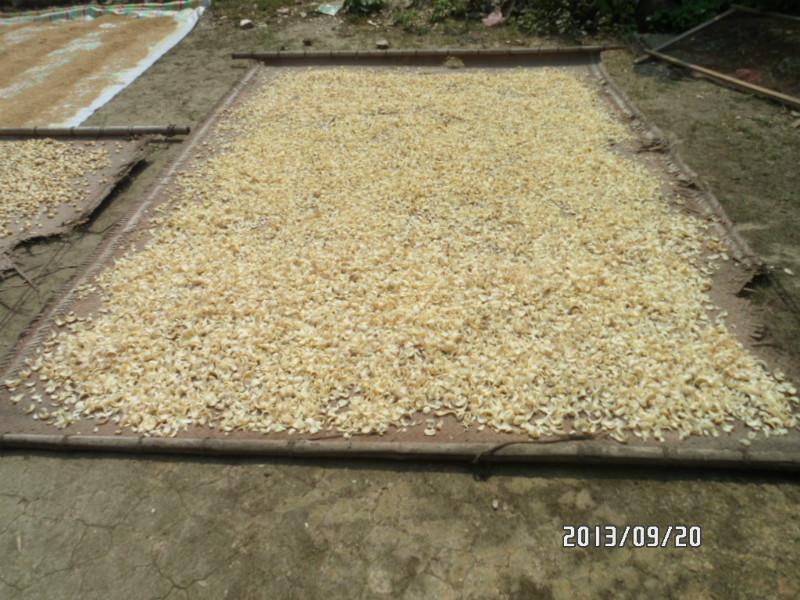 供應(yīng)龍牙百合誠信商家 供應(yīng)優(yōu)質(zhì)中藥材