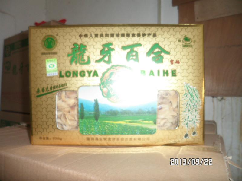 湖南百合圖片/湖南百合樣板圖 (2)