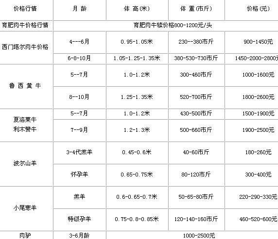 供應(yīng)優(yōu)質(zhì)魯西黃牛幼牛犢價(jià)格多少錢一頭 黃牛價(jià)格