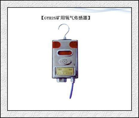 供應(yīng)德海牌GYH25礦用氧氣傳感器