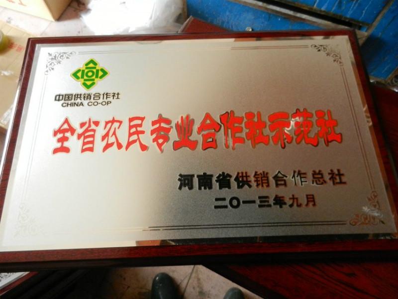 供應鄭州獎牌批發(fā), 獎牌定做,獎牌設計