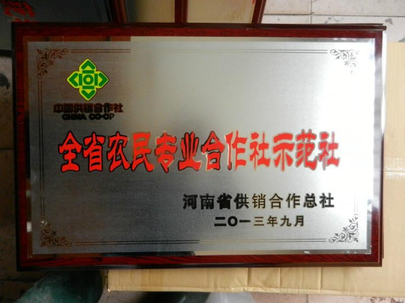 中原區(qū)胸牌獎(jiǎng)牌，鈦*價(jià)格，鄭州胸牌價(jià)格 胸牌定制 鈦*定制