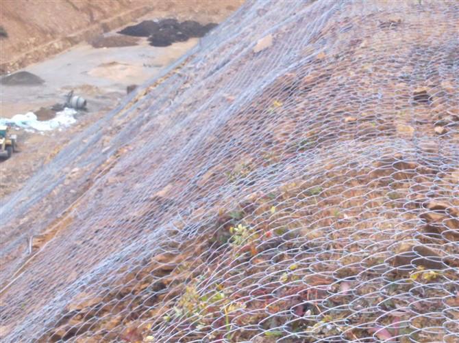 成都邊坡防護(hù)網(wǎng)圖片/成都邊坡防護(hù)網(wǎng)樣板圖 (4)