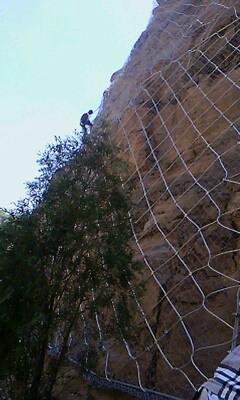 供應(yīng)成都邊坡防護(hù)網(wǎng)專(zhuān)業(yè)生產(chǎn)廠家