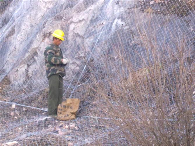 供應四川邊坡防護網(wǎng)廠家