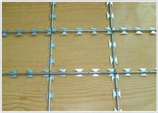成都直線型刀片刺網(wǎng)圖片