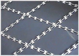 供應(yīng)成都直線型*刺網(wǎng)