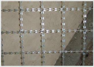 供應(yīng)成都直線型*刺網(wǎng)