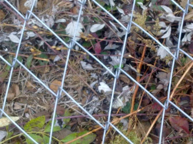 四川勾花網(wǎng)廠家圖片