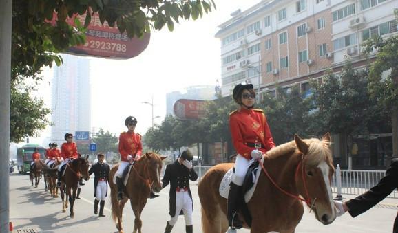 北京馬隊(duì)哪里有？天津馬隊(duì)影視馬隊(duì)西式馬隊(duì)