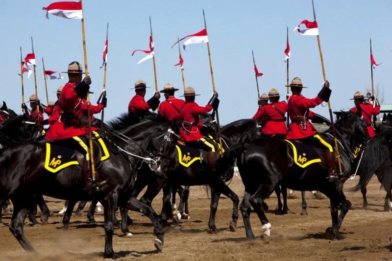 北京馬隊(duì)哪里有？天津馬隊(duì)影視馬隊(duì)西式馬隊(duì)