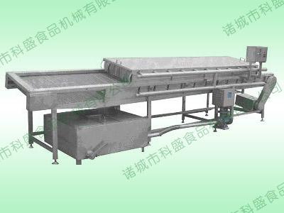 供應(yīng)科盛牌番茄黃豆?jié)L杠式噴淋清洗機(jī)
