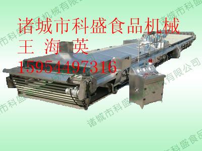 供應(yīng)科盛牌滾杠式巴氏殺菌機(jī)