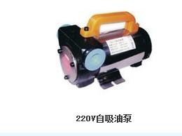 供应自吸油泵批发_220V/12V/24V直流电抽油泵-济南海龙王