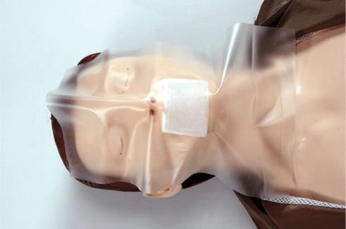 供應(yīng)半身心肺復(fù)蘇訓(xùn)練模擬人型號KH-CPR180