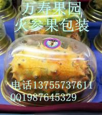 供應火參果