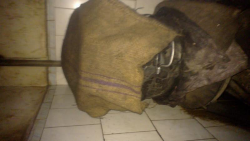 供應純正花生油農家花生油柴火壓榨花生油土榨花生油純正芝麻油