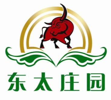 供应兰州版权登记图片