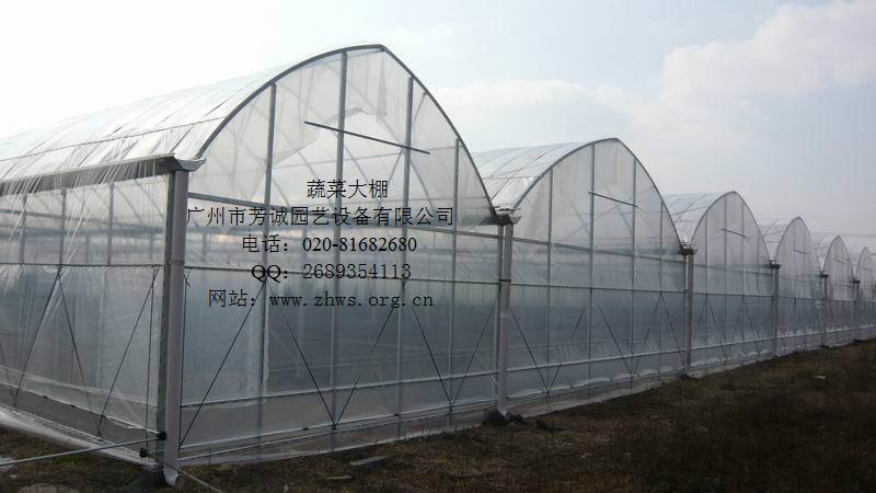 蔬菜大棚圖片/蔬菜大棚樣板圖 (3)