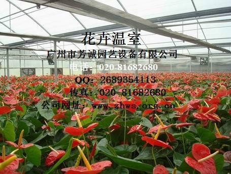 供應(yīng)花卉大棚，冬季花卉大棚，大棚價(jià)格