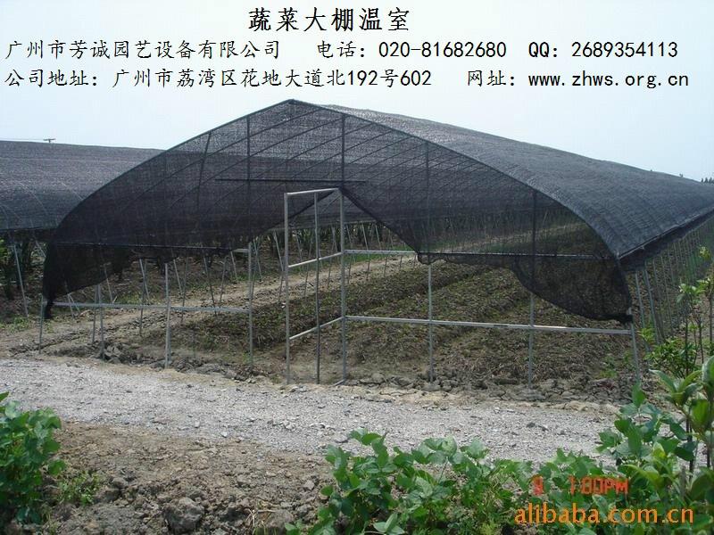 汕頭蔬菜大棚溫室圖片