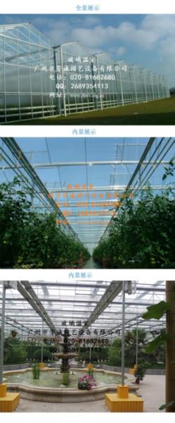 供應玻璃溫室廣州玻璃溫室公司,廣州玻璃溫室規(guī)格/方案