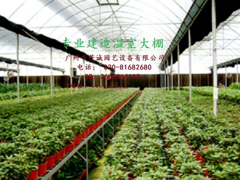 供應(yīng)花卉大棚，冬季花卉大棚，大棚價(jià)格