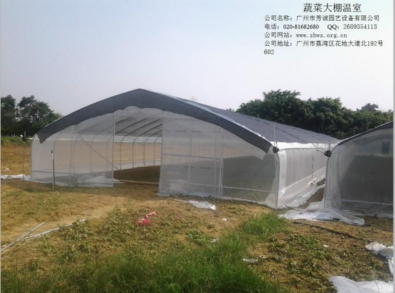 蔬菜大棚圖片/蔬菜大棚樣板圖 (4)