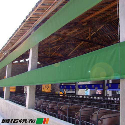 為豬場(chǎng)建新城，來(lái)中山帆布卷簾廠吧