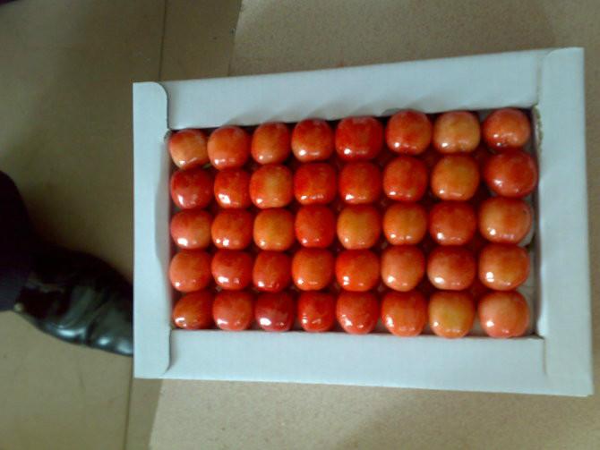 供應(yīng)各類優(yōu)質(zhì)櫻桃