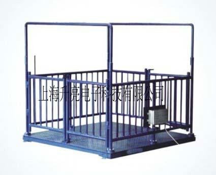 供應(yīng)地磅/動(dòng)物地磅/牲畜地磅/地磅價(jià)格