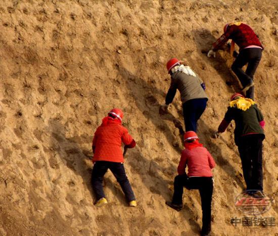 供应护坡挡墙绿化植草，护坡挡墙绿化植草施工队