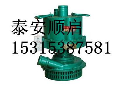 FQW20-25/W風(fēng)動渦輪排污潛水泵圖片/FQW20-25/W風(fēng)動渦輪排污潛水泵樣板圖 (2)