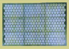 供應復合網(wǎng)批發(fā)復合網(wǎng)廠榆林復合網(wǎng)