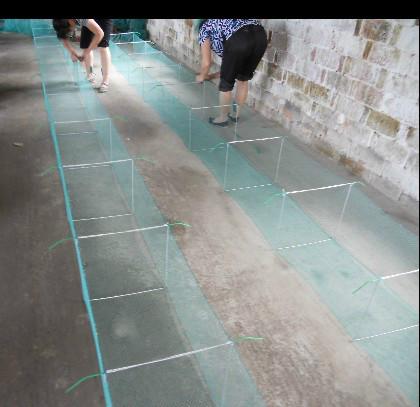 供應(yīng)地籠蝦籠螃蟹籠白洋淀漁具加工