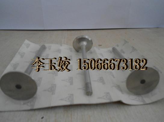 供應(yīng)發(fā)動(dòng)機(jī)進(jìn)氣門排氣門