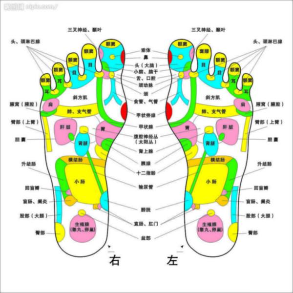 供应健康养生加盟合作