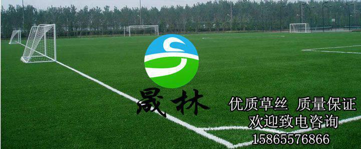 人造草坪足球場