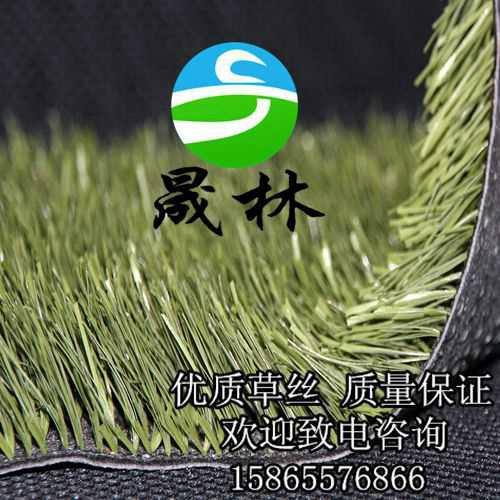 人造草坪足球場圖片/人造草坪足球場樣板圖 (3)