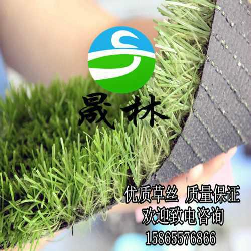 供應(yīng)晟林制造足球場人造草坪